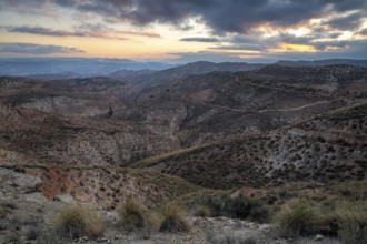 Sunrise, wide hilly desert landscape with dry vegetation, Gorafe desert, semi-desert, Granada,