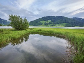 Reservoir, Sihlsee, Euthal, Canton Schwyz, Switzerland, Europe
