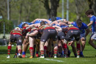 Heidelberg, 06.04.2024, Rugby 1st Bundesliga South/West, Season 2023/24, Matchday 10: SC Neuenheim