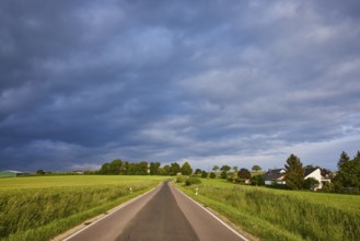 Crop field, trees, landscape, landscape photography, overcast sky, nimbostratus clouds, sunlight,