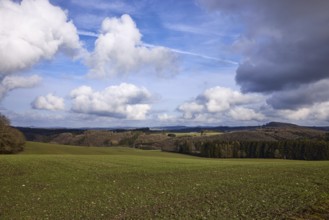 Agriculture, fields, hilly landscape, coniferous forest, landscape, landscape photography, blue