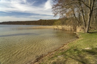Lichtenberg bathing beach on Lake Breiter Luzin, Feldberg Lakeland, Mecklenburg-Western Pomerania,