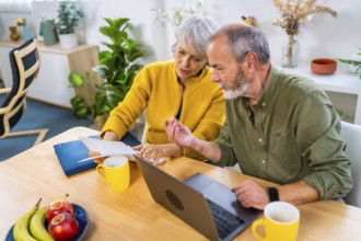 Elevated view of a caucasian senior couple doing the household accounting with laptop