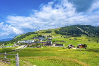 Compatsch, alpe di siusi, dolomites, italy, showing alpine meadow, hotels and chalets in summer