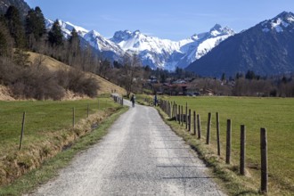 Path through meadows between Rubi and Oberstdorf, behind mountains of the Allgäu Alps, Oberallgäu,
