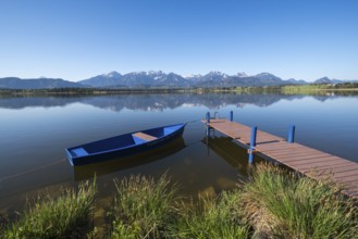 A blue jetty on a calm, clear lake with a breathtaking Alpine backdrop, Hopfen am See, near Füssen,