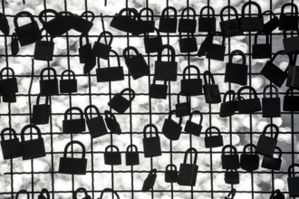 Padlocks, so-called love locks on a fence, vantage point in Wesel am Rhein, North Rhine-Westphalia,
