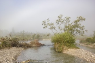 Isar valley nature conservancy area. The wild Isar river flows through its gravel bed past