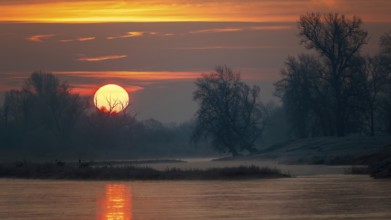 Sunrise on the Middle Elbe, winter landscape in frost, river landscape, fog, reflection of the sun,
