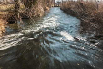 A clear river flows through a landscape lined with trees and bushes, Kehrbach, Neunkirchen, Lower