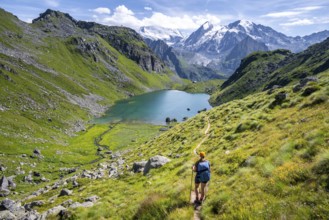 Hiker, mountain lake Lac de Louvie with glaciated summit of the Grand Combin, Val de Bagnes,