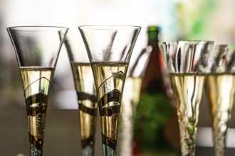 Close-up of filled champagne glasses or champagne goblets against the light, blurred colours in the
