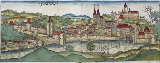 Medieval city view of Passau or Patavia, family tree, old coloured woodcut from: Schedel'sche