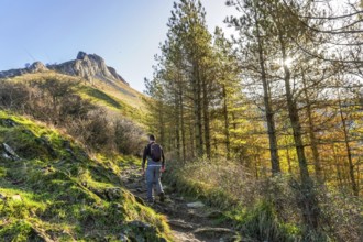 Hiker navigating a forest trail towards the majestic peak of mount txindoki, surrounded by lush
