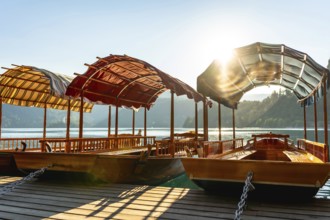 Wooden tourist boats, known as pletnas, moored at a pier on lake bled in slovenia, bathed in the