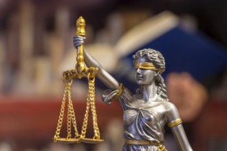 Close-up of a Justitia, in the background a man is reading a book (symbolic image)