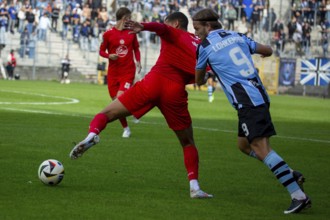 Football 3rd division, 2024/25 season, matchday 8: Waldhof Mannheim vs Rot-Weiß Essen
