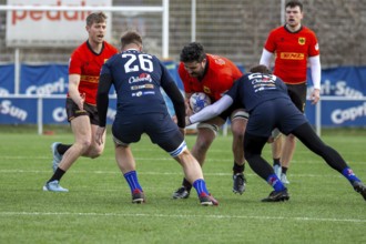 Rugby: Germany against MKS Pogon Awenta Siedlce, Poland in Heidelberg (test match of the German