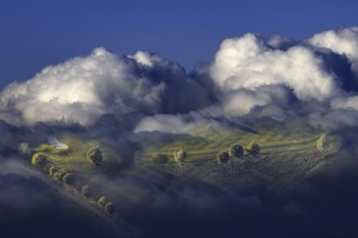 Hilly landscape with trees enveloped by dramatic clouds and fog in a surreal atmosphere, Wenden,