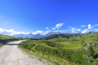Scenic gravel road meanders through vibrant green meadows in logarska dolina, framed by majestic