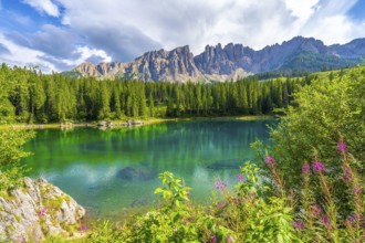 Stunning view of the emerald green water of lake carezza with the latemar mountain range in the