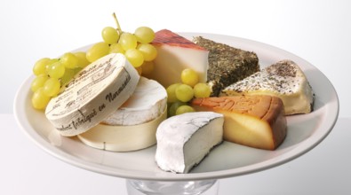 Cheese platter with various cheeses, decorated with grapes, studio shot
