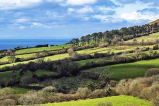 Farms over Dorset, England, farmland