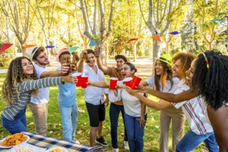 Multi-ethnic friends toasting celebrating birthday with a picnic together in a park