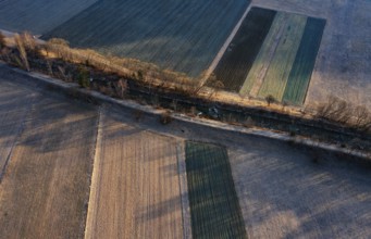 Drone image, autumn, agricultural landscape fields with regulated river, Prutz, Kaunertal, Inntal,