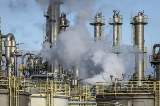 Oberhausen, North Rhine-Westphalia, Germany, industrial plant in the chemical park, OQ Chemicals