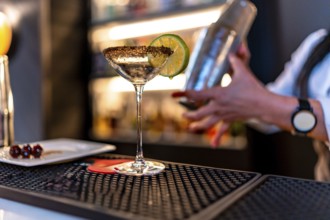 Unrecognizable bartender mixing a cocktail using shaker in a luxury night bar