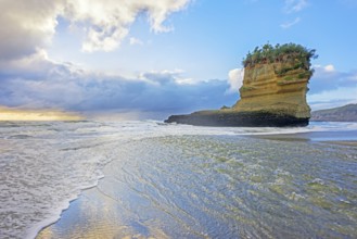 Rock formation shaped like a boot, Punakaiki, Paparoa National Park, South Island, New Zealand,
