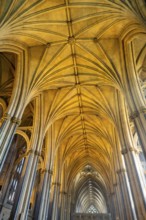 Vaulted roof ceiling inside Bristol cathedral church, Bristol, England, UK