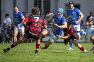 26.10.2024, Rugby 1st Bundesliga South/West, Season 2024/25, Matchday 12: SC Neuenheim vs SC
