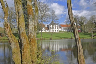 Pond with mossy tree trunks at Hofgut Imsbach, nature, moss, reflection, country inn, idyll,