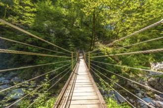 Wooden suspension bridge crossing over a clear stream in tolmin gorge, slovenia, surrounded by lush