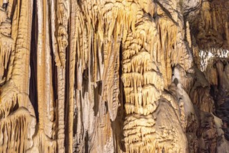 Breathtaking view of illuminated stalactites and stalagmites formations inside postojna cave, a