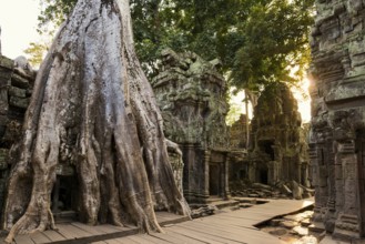 Ta Prohm, Angkor Wat, Angkor, UNESCO World Heritage Site, Siem Reap, Cambodia, Indochina, Southeast