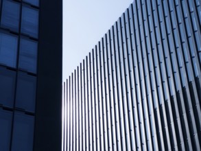 Modern architecture, mood lighting, Medienhafen, harbour, Düsseldorf, North Rhine-Westphalia,