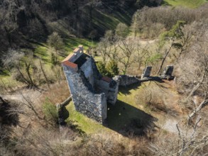 Aerial view of the Neuburg ruins, historical sight above Lake Constance, Untersee, Lake Rhine,