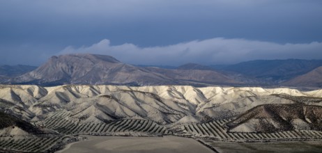 Desert landscape, Gorafe desert, semi-desert, Granada, Andalusia, Spain, Europe