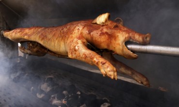 Suckling pig, pork, roasted on a spit, charcoal, Stuttgart, Baden-Württemberg, Germany, Europe