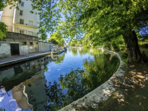 Calm waters reflecting buildings and lush trees along little venice canal in london, offering a