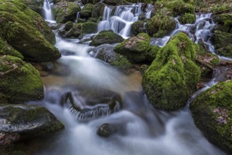Gertelbach, Gertelbach Waterfalls, Gertelbach Falls, Gertelbach Gorge, Bühl, Bühlertal, Northern