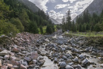 Stillup Bach, Stilluptal, Stillupgrund, Mayrhofen, High Mountain nature park Park Zillertal Alps,