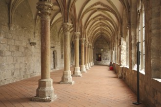 Cloister and capital of the UNESCO monastery ruin Walkenried, columns, gothic, monastery, Harz,