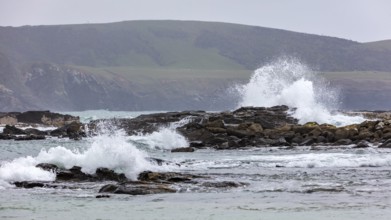 Waves, Curio Bay, Südland, Neuseeland