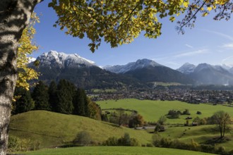 View of Oberstdorf and the Allgäu Alps from the Allgäuer Bergbad, Oberallgäu, Bavaria, Germany,
