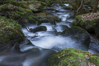 Gertelbach, Gertelbach Waterfalls, Gertelbach Falls, Gertelbach Gorge, Bühl, Bühlertal, Northern