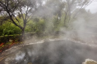 Geothermal, Park, Rotorua, New Zealand, Oceania
